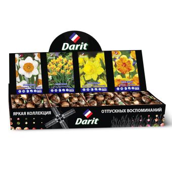 Шоубокс 225 НАРЦИССЫ, Darit, 4 вида по 35 шт