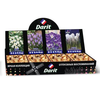 Шоубокс 183 КРОКУСЫ (Ард шенк/Барра/Рубиновый гигант/Жанна Дарк) Darit, 4вида по 100шт