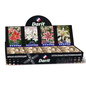 Шоубокс 240 ЛИЛИИ Darit, 4 вида по 20 шт 