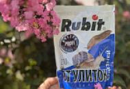 Профилактика слизней и улиток на участке Профилактика слизней и улиток на участке