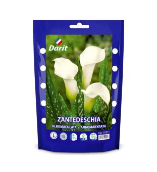 Дой-пак Калла (Зантедеския) Албомакулата Cаlla Albomaculata16/+ (белый) 3шт