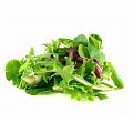 Салаты и зелень (листовые овощи) Салаты и зелень (листовые овощи)