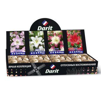 Шоубокс 184 ЛИЛИИ Darit, 4 вида по 20 шт 