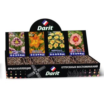 Шоубокс 199 ЛИЛЕЙНИК, Darit 4 вида по 7 шт