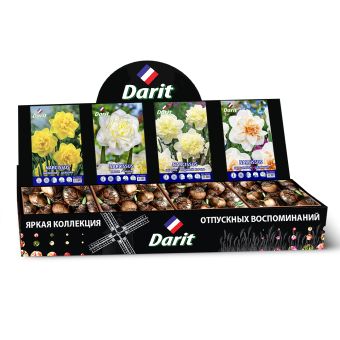 Шоубокс 223 НАРЦИССЫ, Darit, 4 вида по 35 шт