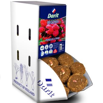 Бегония Ниспадающая розовая Pendula Pink 6/+, Darit Рекбокс 35шт