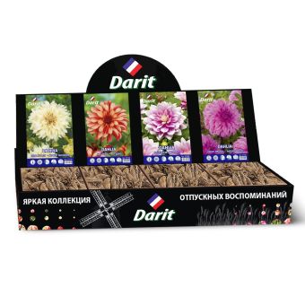 Шоубокс 203 ГЕОРГИНА Darit, 4 вида по 7 шт