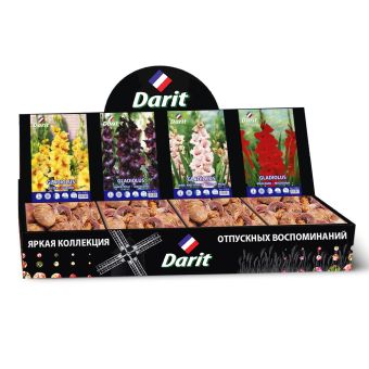 Шоубокс 249 ГЛАДИОЛУСЫ Darit, 4 вида по 35 шт