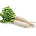 Дайкон Дайкон