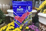 Стартуй, расти, цвети! Стартуй, расти, цвети!