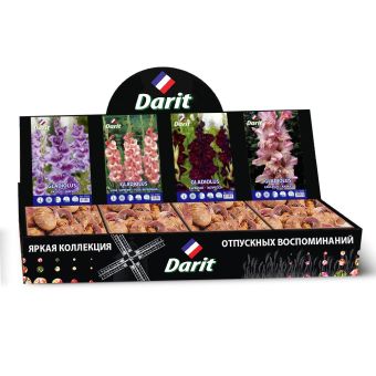 Шоубокс 211 ГЛАДИОЛУСЫ Darit, 4 вида по 35 шт