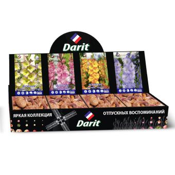 Шоубокс 214 ГЛАДИОЛУСЫ Darit, 4 вида по 20 шт
