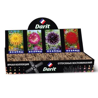 Шоубокс 201 ГЕОРГИНА Darit, 4 вида по 7 шт