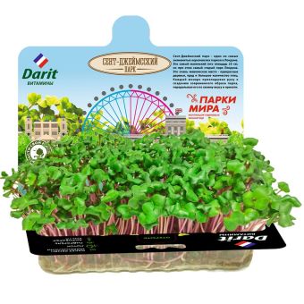 Микрозелень редис НАБОР ДЛЯ ВЫРАЩИВАНИЯ 4г ДАРИТ (40)