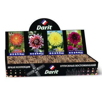 Шоубокс 243 ГЕОРГИНА Darit, 4 вида по 7 шт