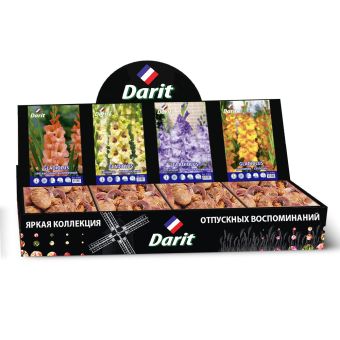 Шоубокс 216 ГЛАДИОЛУСЫ Darit, 4 вида по 20 шт