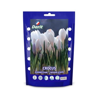 Дой-пак Крокус Жанна Д'Арк/Jeanne D'Arc 6/7, 6шт, Darit
