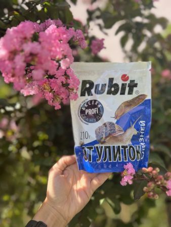 Профилактика слизней и улиток на участке