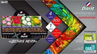 Лютик (ранункулюс) азиатский Ranunculus asiaticus, ЦВЕТНАЯ МЕЧТА,Darit, Шоубокс 45, 4 вида по 200 шт.