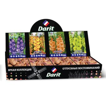 Шоубокс 215 ГЛАДИОЛУСЫ Darit, 4 вида по 20 шт