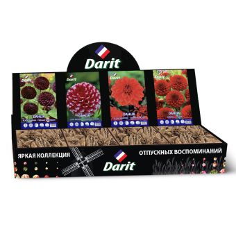 Шоубокс 205 ГЕОРГИНА Darit, 4 вида по 7 шт