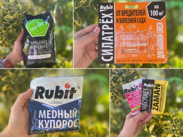 Несколько полезных советов по осенней обработке сада.