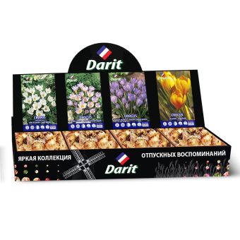 Шоубокс 172 КРОКУСЫ (Ард шенк/Баррс пепл/Сибирский светлячок/Желтый) Darit, 4вида по 100шт