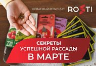 Рассадный март: секреты успеха для каждого – от новичка до гуру! Рассадный март: секреты успеха для каждого – от новичка до гуру!