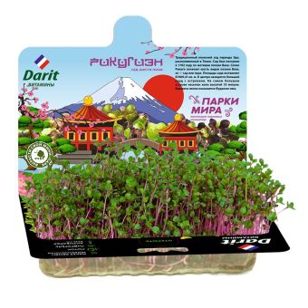 Микрозелень мизуна НАБОР ДЛЯ ВЫРАЩИВАНИЯ 2г ДАРИТ (40)