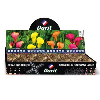 Каллы Zantedeschia,БОГИ ЕГИПТА, Darit, Шоубокс 42, 4 вида по 15 шт.