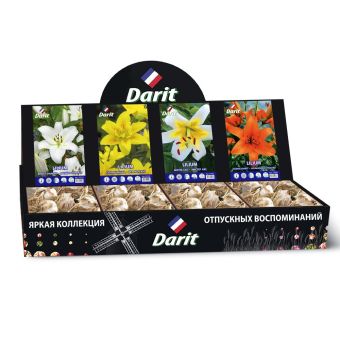 Шоубокс 239 ЛИЛИИ Darit, 4 вида по 20 шт 