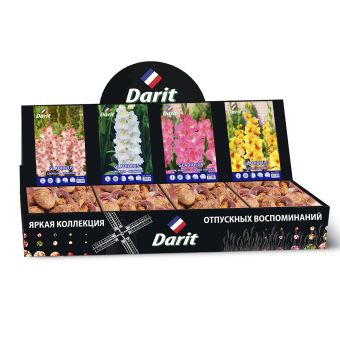 Шоубокс 195 ГЛАДИОЛУСЫ Darit, 4 вида по 35 шт