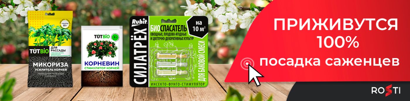 Пересадка плодовых деревьев