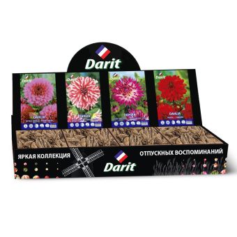 Шоубокс 206 ГЕОРГИНА Darit, 4 вида по 7 шт