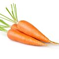 Морковь Морковь
