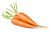 Морковь