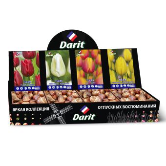 Шоубокс 233 ТЮЛЬПАНЫ Darit, 4 вида по 50 шт