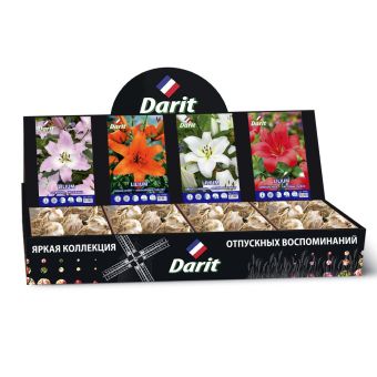 Шоубокс 238 ЛИЛИИ Darit, 4 вида по 20 шт 