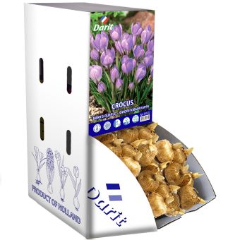 Рекбокс Крокус ботан. фиолетовый Барра/ Crocus botanical Barr's Purple 5/7, Darit 200шт