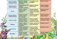 Севооборот: как планировать посадку овощей на сезон? Севооборот: как планировать посадку овощей на сезон?