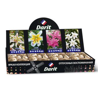 Шоубокс 187 ЛИЛИИ Darit, 4 вида по 20 шт 