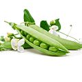 Горох и бобы Горох и бобы