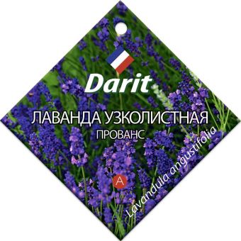 Лаванда узколистная Прованс, семена Дарит 0,1г (400)