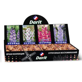 Шоубокс 212 ГЛАДИОЛУСЫ Darit, 4 вида по 35 шт