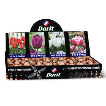 Шоубокс 234 ТЮЛЬПАНЫ Darit, 4 вида по 50 шт