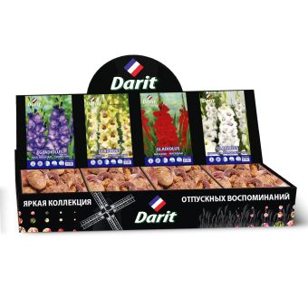 Шоубокс 210 ГЛАДИОЛУСЫ Darit, 4 вида по 35 шт