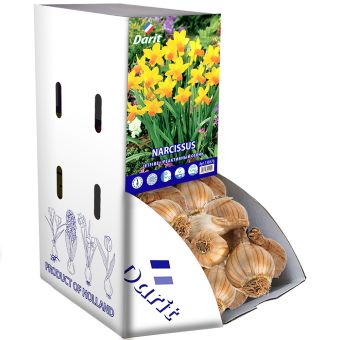 Рекбокс Нарцисс цикломеновый Реактивный огонь/ Narcissus cyclamineus Jetfire 12-14, Darit 50шт