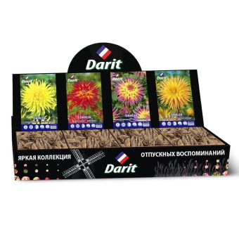 Шоубокс 242 ГЕОРГИНА Darit, 4 вида по 7 шт