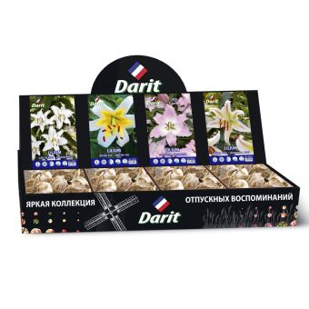 Шоубокс 207 ЛИЛИИ Darit, 4 вида по 20 шт 