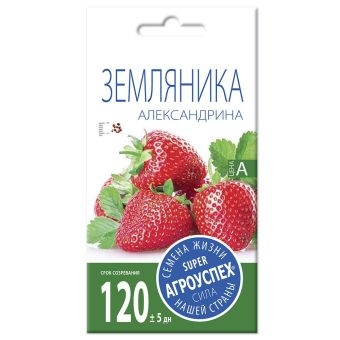 Земляника Александрина, семена Агроуспех 0,05г (400)